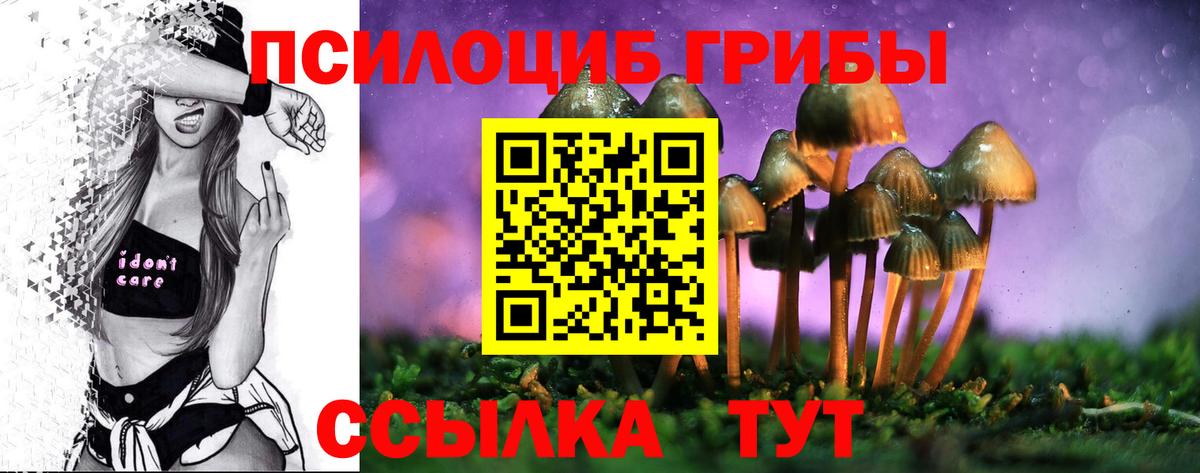 Бирск  Псилоцибиновые грибы Cubensis  Галлюциногенные грибы MAGIC MUSHROOMS  Вход с VPN 