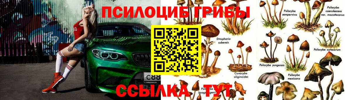 Псилоцибиновые грибы мухоморы Бирск