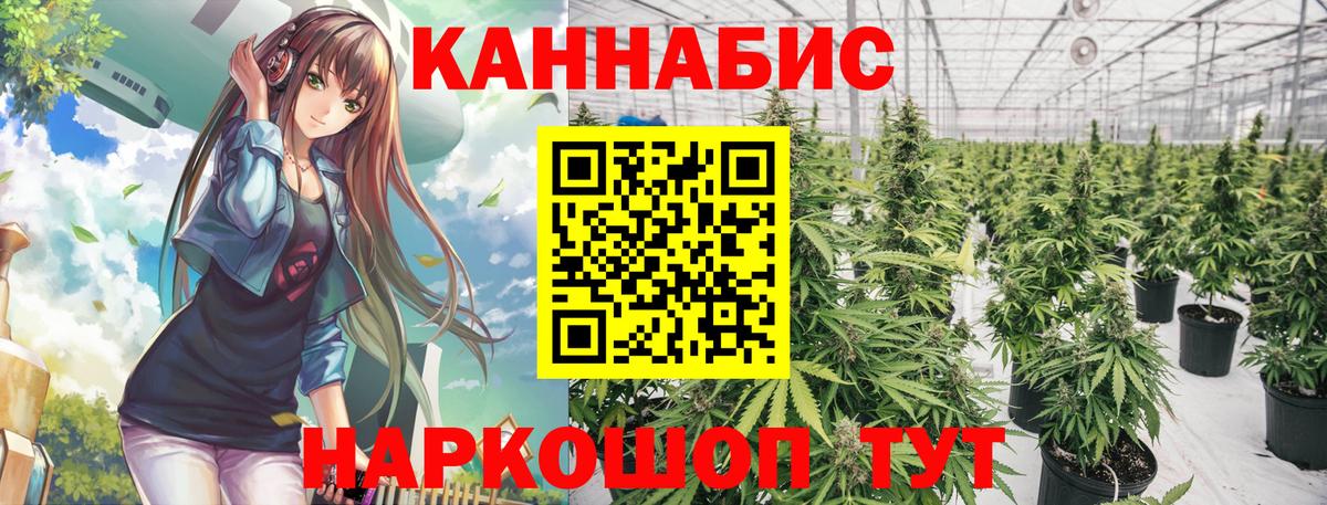 Бошки марихуана OG Kush  Конопля конопля  Бошки Шишки план  Бирск  Вход с VPN 